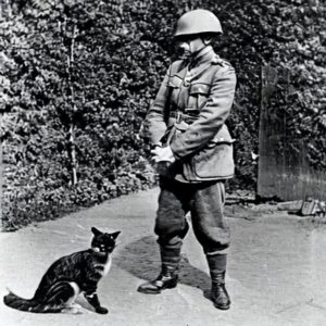 A Nazi and a cat
